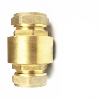 PEX interface brass check valve